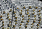 Close-up of Heavy-duty Flatwire Belting